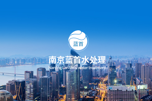 石嘴山建站-南京蓝首水处理设备有限公司