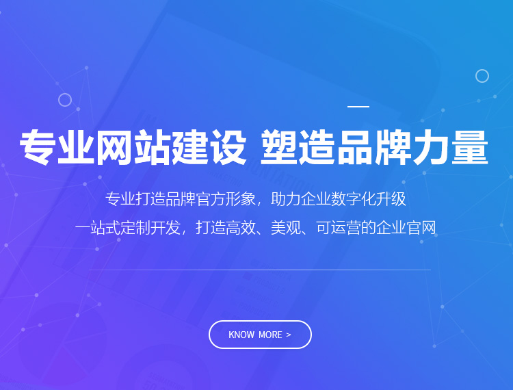 石嘴山建站-专业网站建设 塑造品牌力量